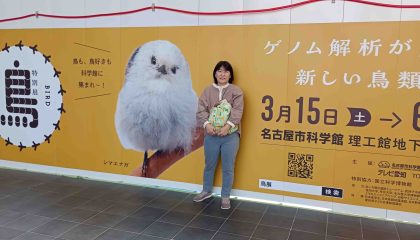 鳥と共に暮らす地球を考える、