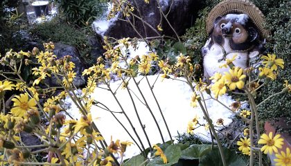 １２月4日紅葉も終わりかな