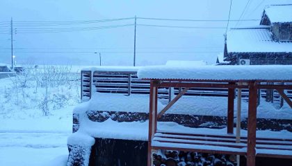 カフェ臨時休業のご案内