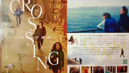 中東イスタンブールの大都会で、